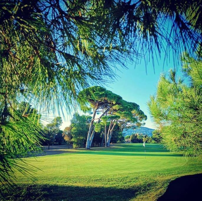 Luxury 3 Piece Garden Apartment In Cannes Marina Mandelieu La Napoule Bagian luar foto